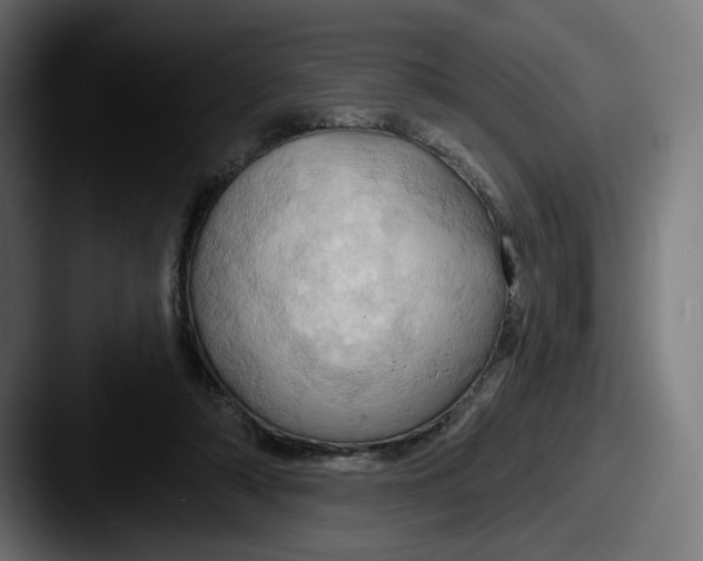 X0000087530306200705181035