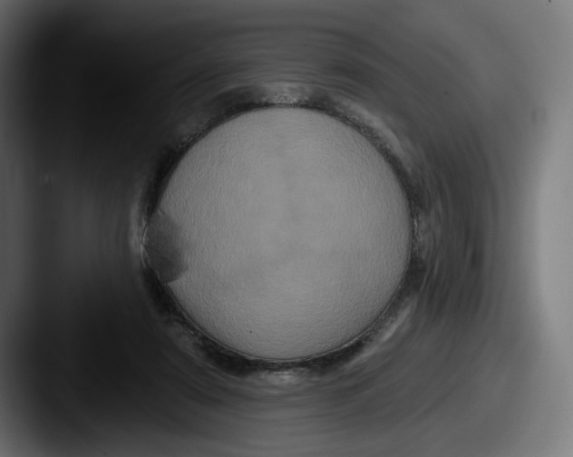 X0000087530307200705181035