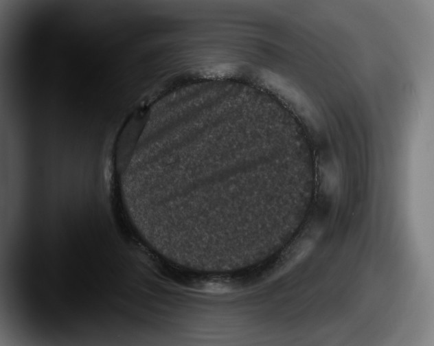 X0000087530308200705181035