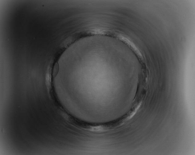 X0000087530309200705181035
