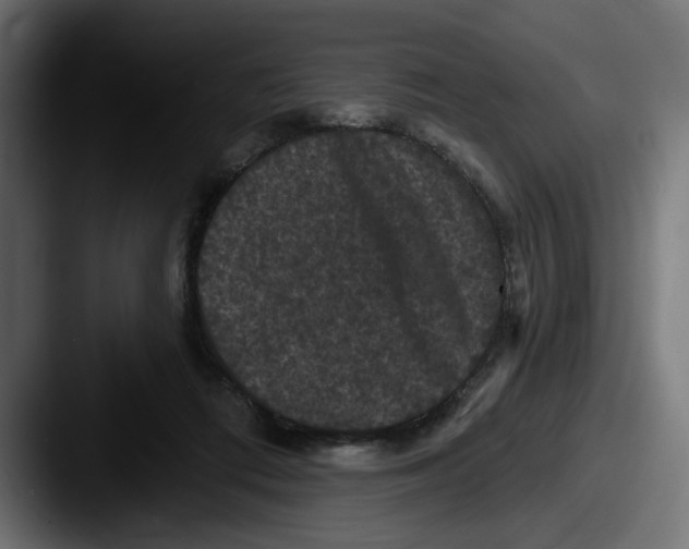 X0000087530312200705181035