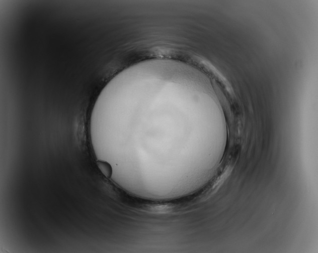X0000087530313200705181035