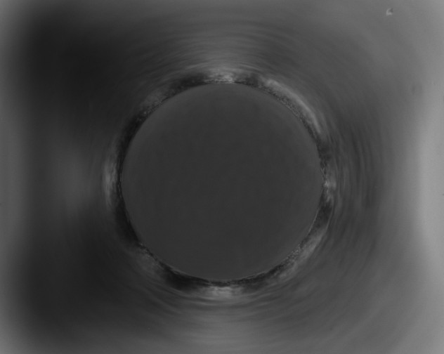 X0000087530314200705181035