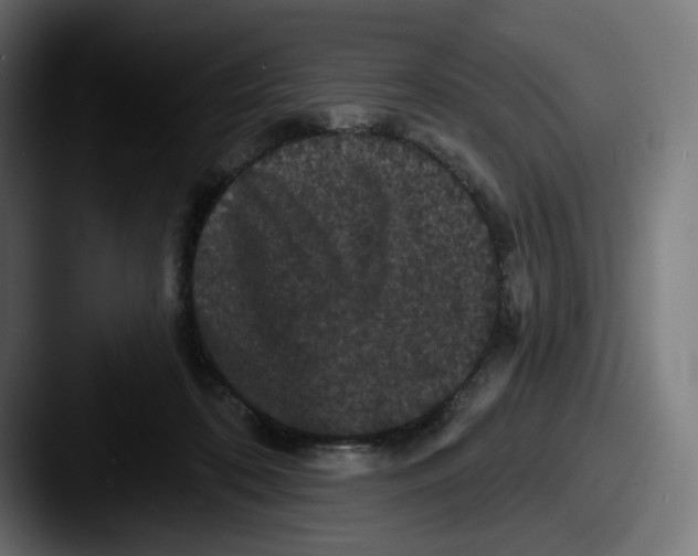 X0000087530316200705181035