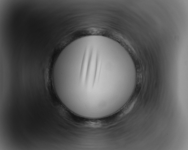 X0000087530317200705181035
