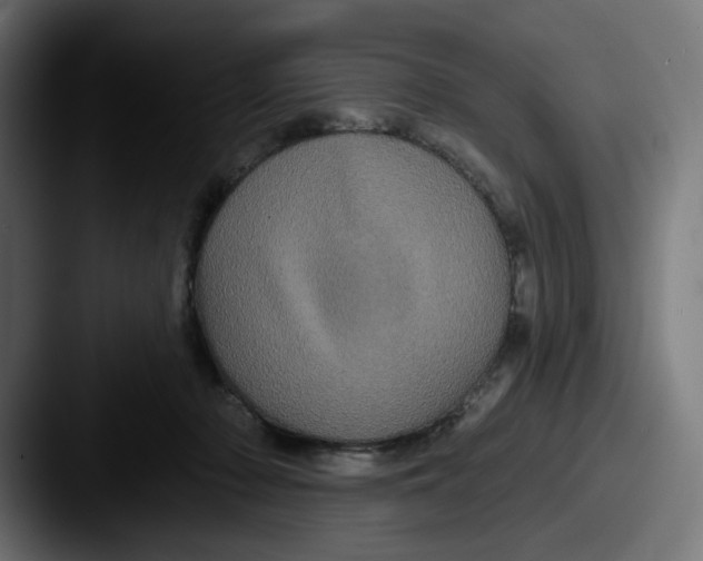 X0000087530318200705181035