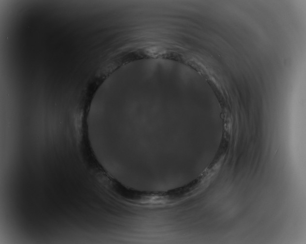 X0000087530319200705181035