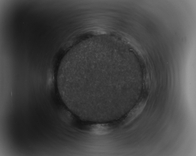 X0000087530320200705181035