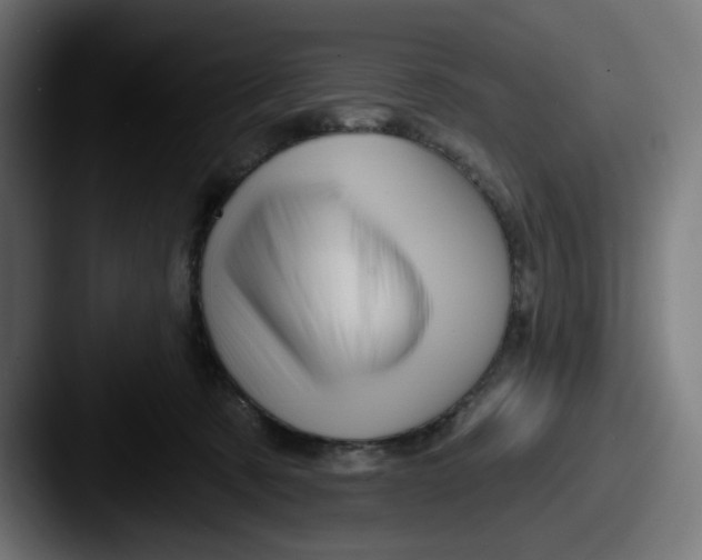 X0000087530321200705181035