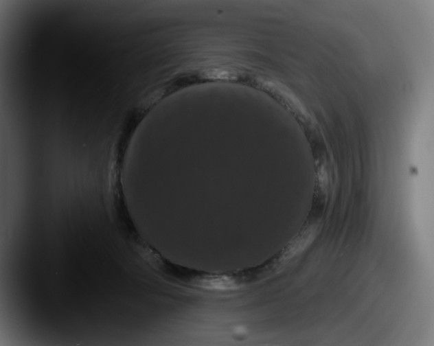 X0000087530322200705181035