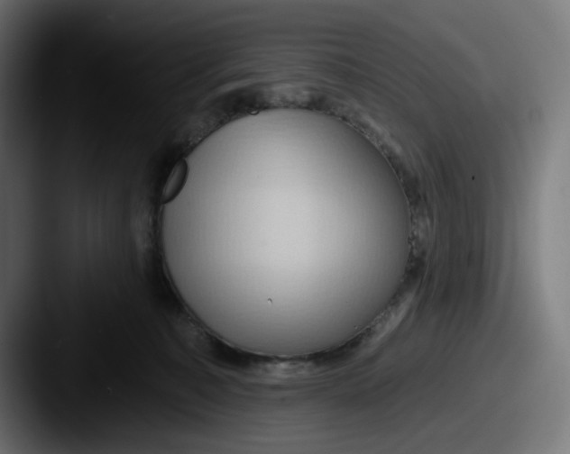 X0000087530323200705181035