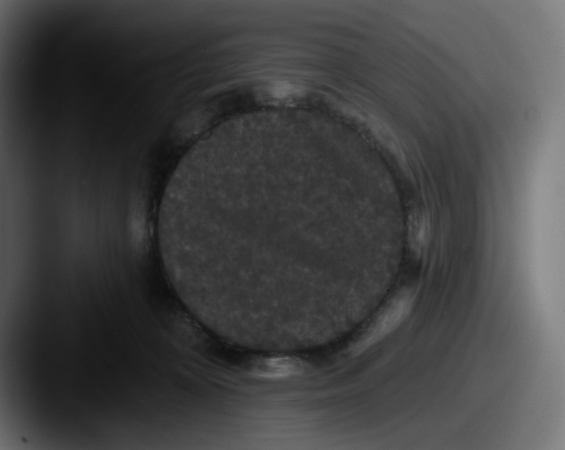 X0000087530324200705181035