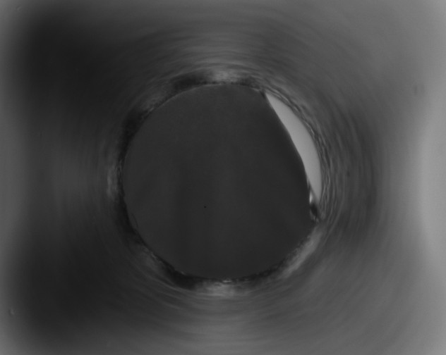 X0000087530325200705181035