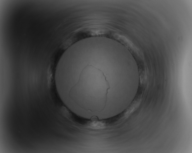 X0000087530327200705181035