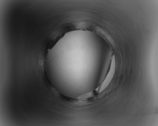 X0000087530329200705181035