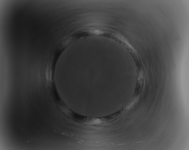X0000087530330200705181035