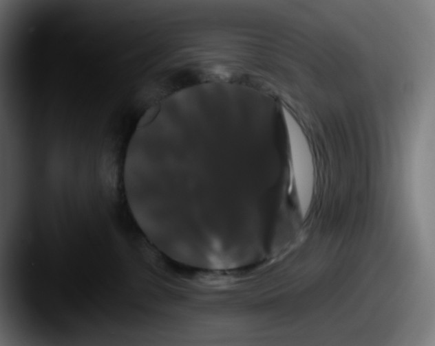 X0000087530331200705181035