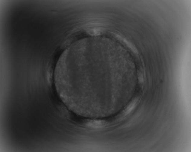 X0000087530332200705181035