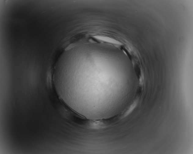 X0000087530333200705181035