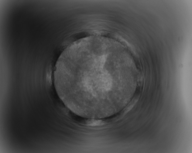 X0000087530334200705181035