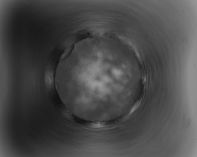 X0000087530335200705181035