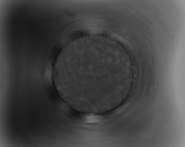 X0000087530336200705181035