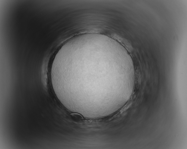 X0000087530338200705181034