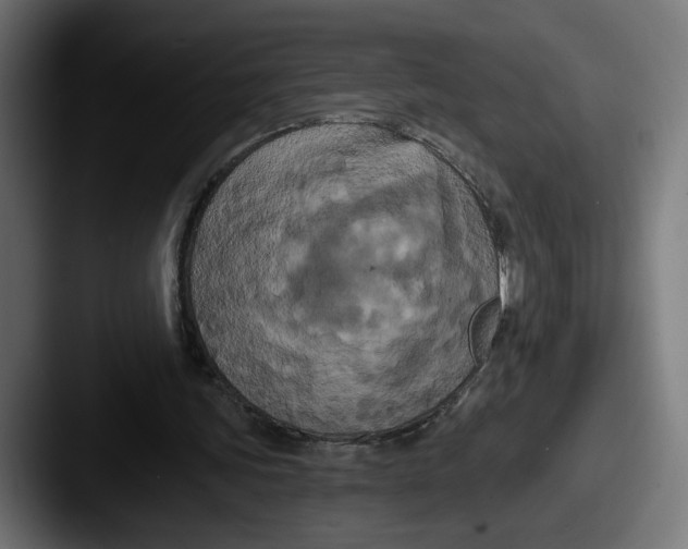 X0000087530339200705181034