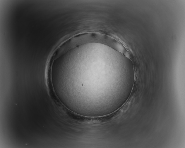 X0000087530340200705181034