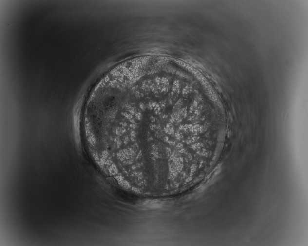 X0000087530341200705181034