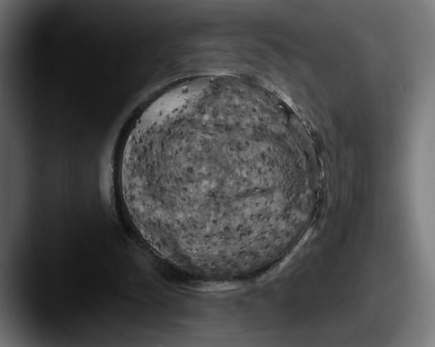 X0000087530342200705181034