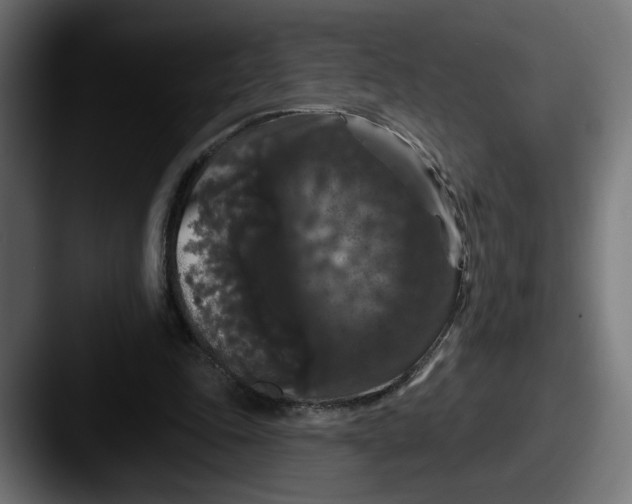 X0000087530343200705181034