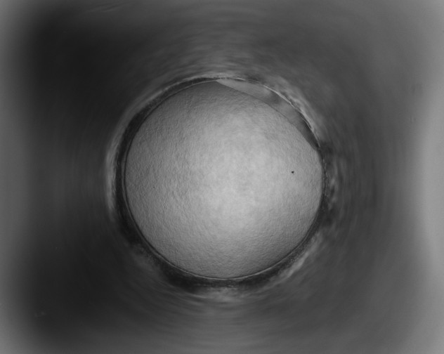 X0000087530344200705181034