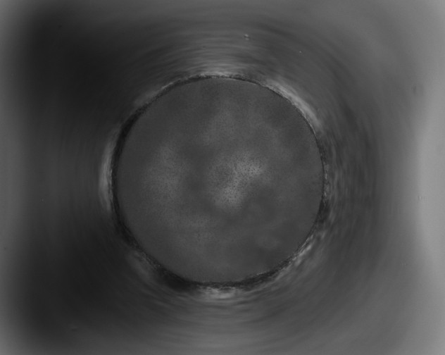 X0000087530346200705181034