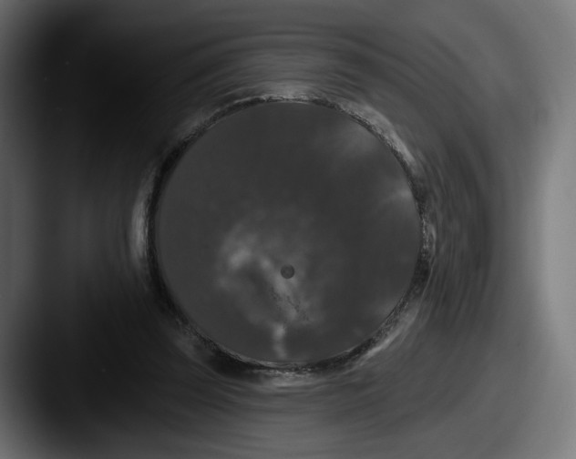 X0000087530347200705181034