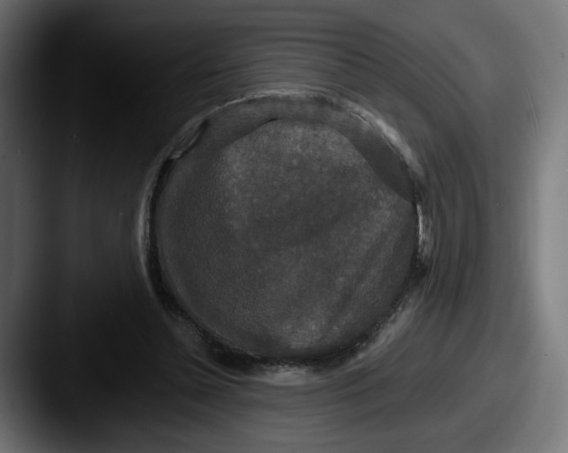 X0000087530348200705181034
