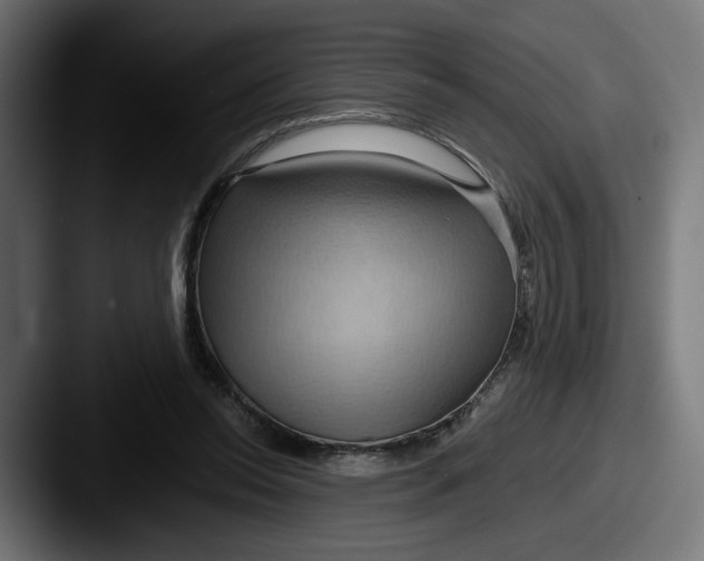X0000087530350200705181034