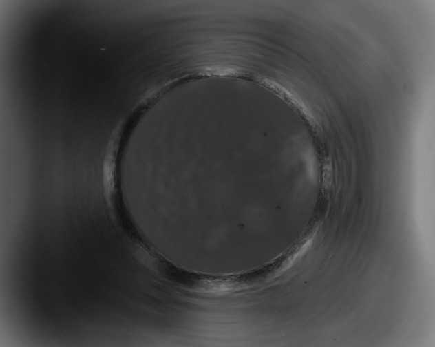 X0000087530351200705181034