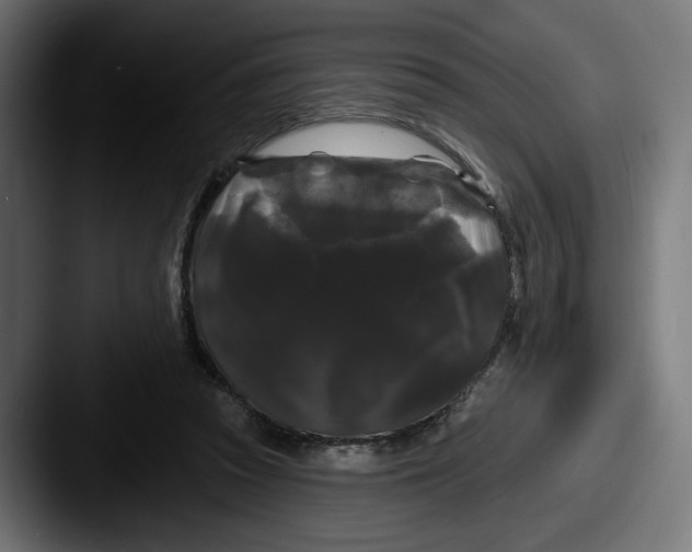 X0000087530353200705181034