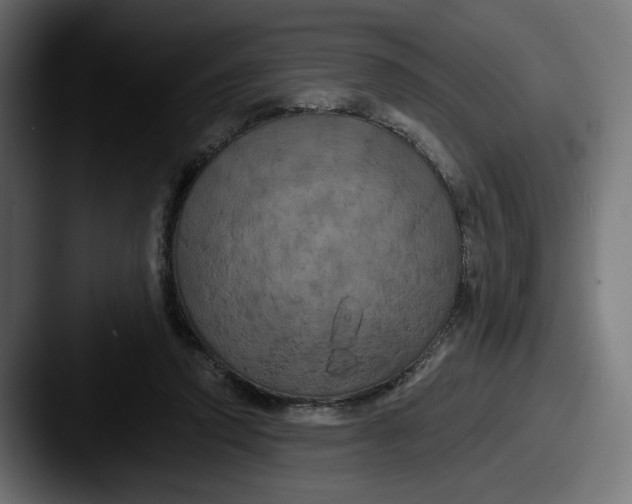 X0000087530354200705181034