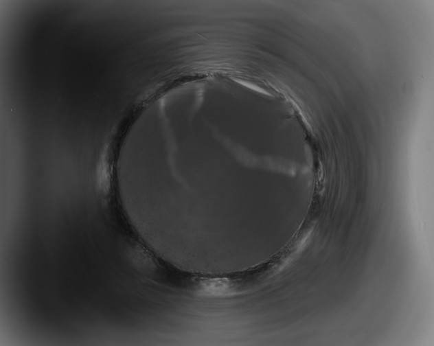 X0000087530355200705181034