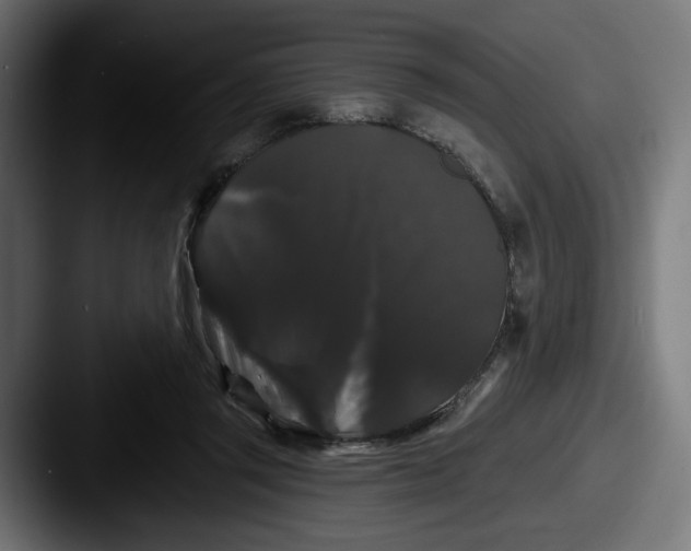 X0000087530357200705181034