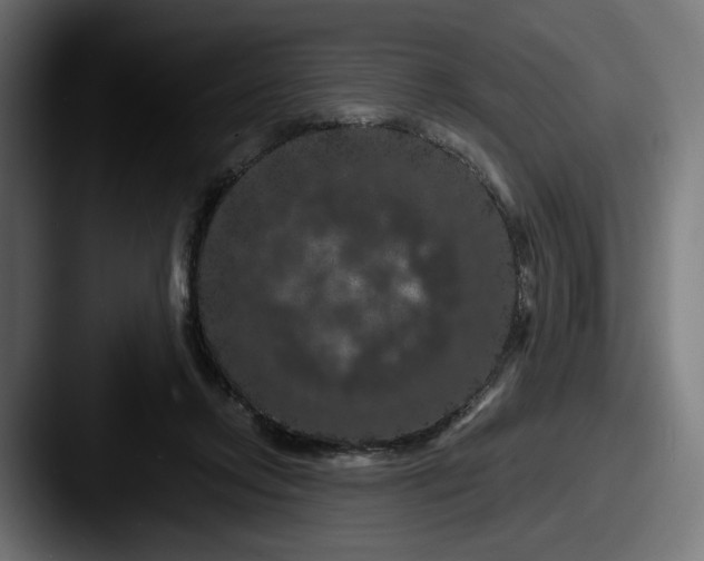 X0000087530358200705181035