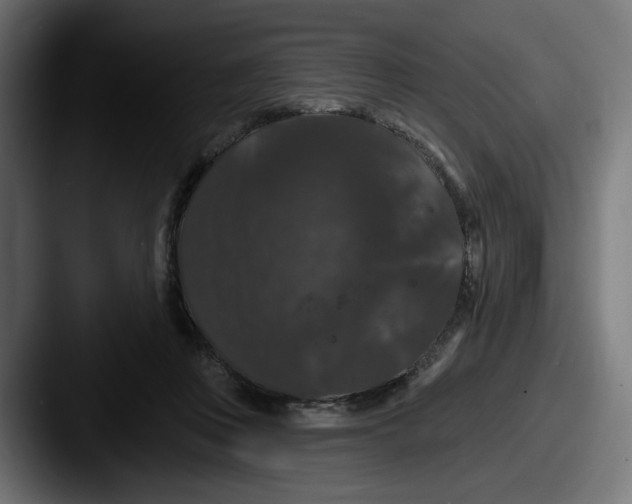 X0000087530359200705181035