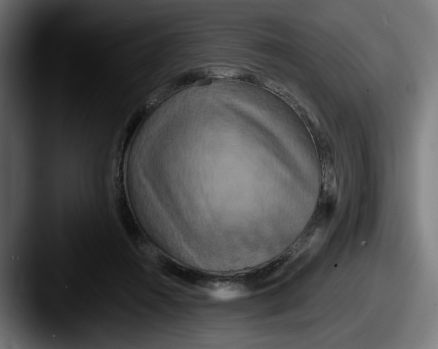 X0000087530360200705181035