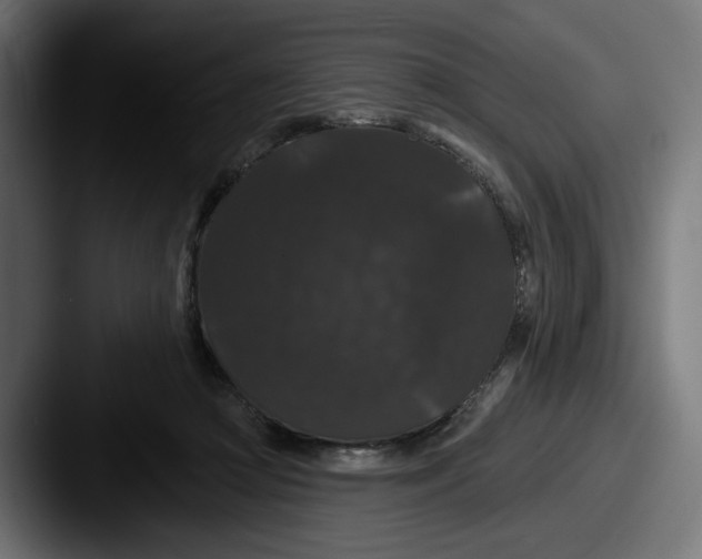 X0000087530361200705181035