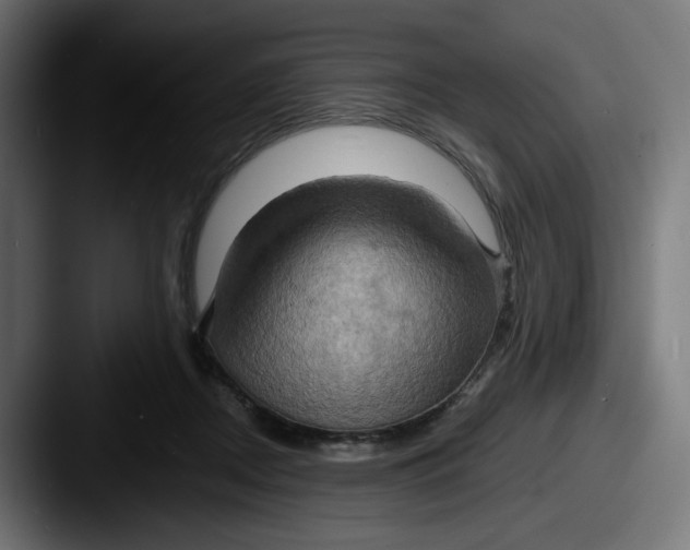 X0000087530362200705181035
