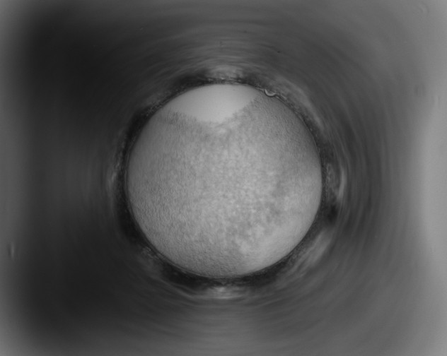 X0000087530364200705181035