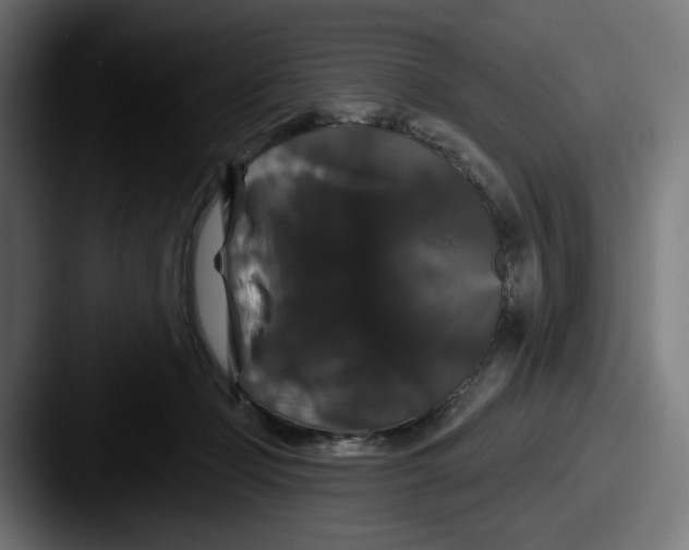 X0000087530365200705181035