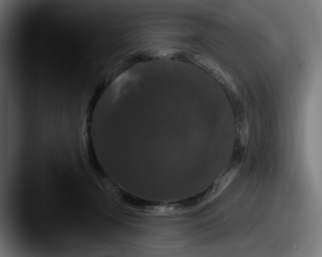 X0000087530366200705181035